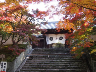 Illustration for article titled Bad Tourists Lead to Photography Ban at Japanese Temples